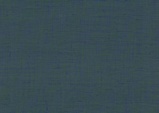 Armani Casa 8009 Graphic Elements 3 Fukue - tapeta tekstylna imitująca płótno