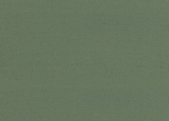 Armani Casa 9981 Inspired Moods 1 Rafia Plain - tapeta jednolita z rafii