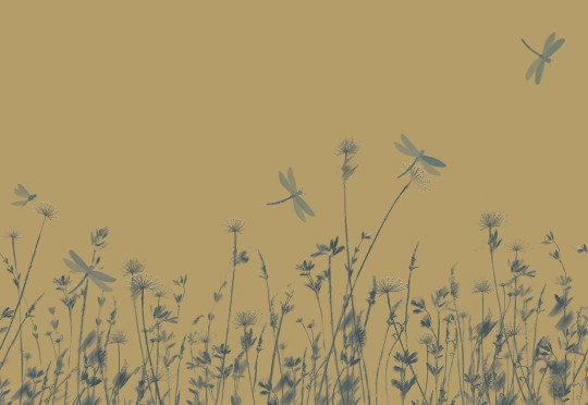 Armani Casa 9913 Inspired Moods 1 Dickinson - tapeta jedwabna z motywem łąki