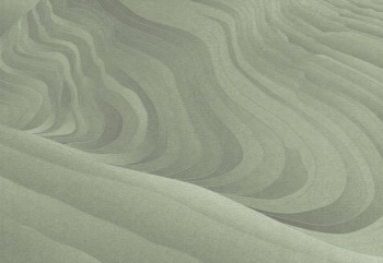 562853c7798b9d5eaab202f2819e8c04