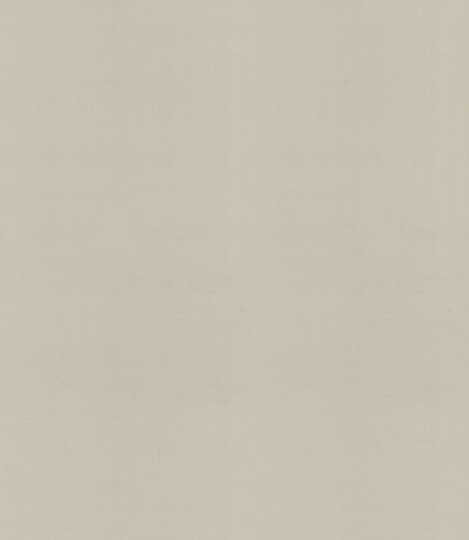 Armani Casa 9093 Precious Fibers 2 Bohéme-Falstaff - tapeta jedwabna jednolita