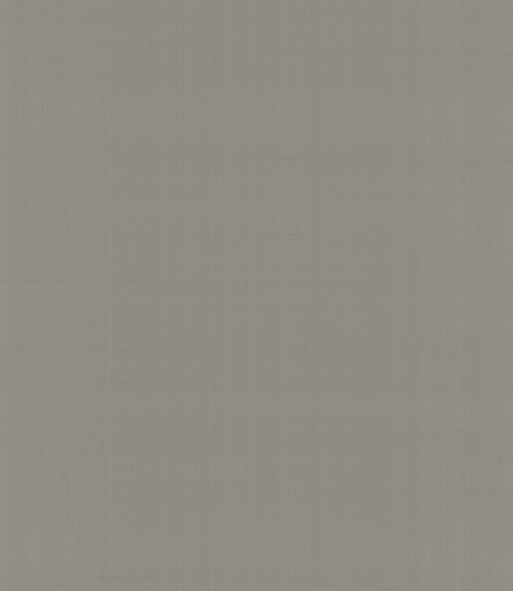 Armani Casa 9060 Precious Fibers 2 Plain Salomè-Iolanta-Nabucco-Lohengrin - tapeta jedwabna z jednolitym wzorem