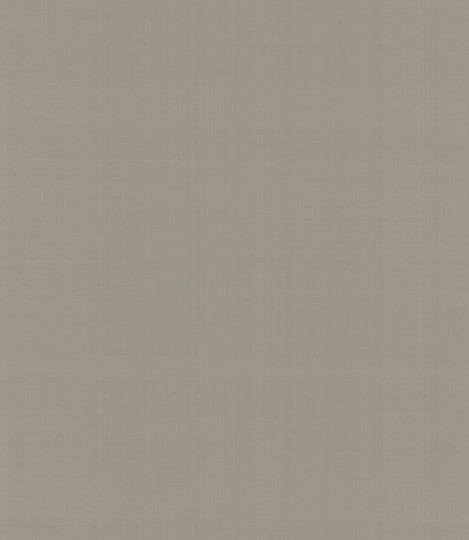 Armani Casa 9063 Precious Fibers 2 Plain Salomè-Iolanta-Nabucco-Lohengrin - tapeta jedwabna z jednolitym wzorem