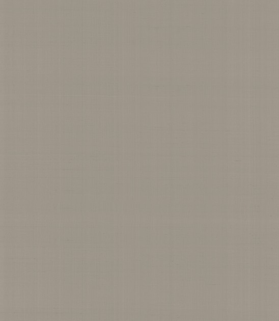 Armani Casa 9063 Precious Fibers 2 Plain Salomè-Iolanta-Nabucco-Lohengrin - tapeta jedwabna z jednolitym wzorem