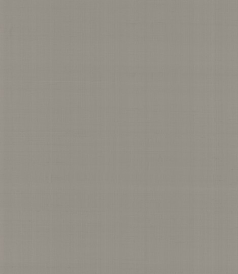 Armani Casa 9064 Precious Fibers 2 Plain Salomè-Iolanta-Nabucco-Lohengrin - tapeta jedwabna z jednolitym wzorem