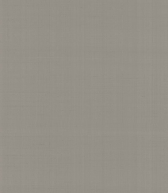 Armani Casa 9064 Precious Fibers 2 Plain Salomè-Iolanta-Nabucco-Lohengrin - tapeta jedwabna z jednolitym wzorem