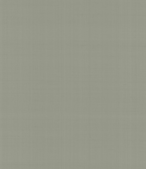 Armani Casa 9065 Precious Fibers 2 Plain Salomè-Iolanta-Nabucco-Lohengrin - tapeta jedwabna z jednolitym wzorem