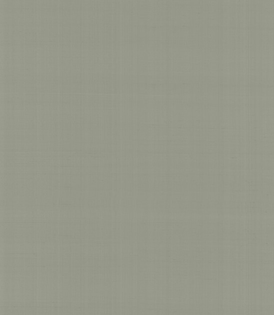 Armani Casa 9065 Precious Fibers 2 Plain Salomè-Iolanta-Nabucco-Lohengrin - tapeta jedwabna z jednolitym wzorem