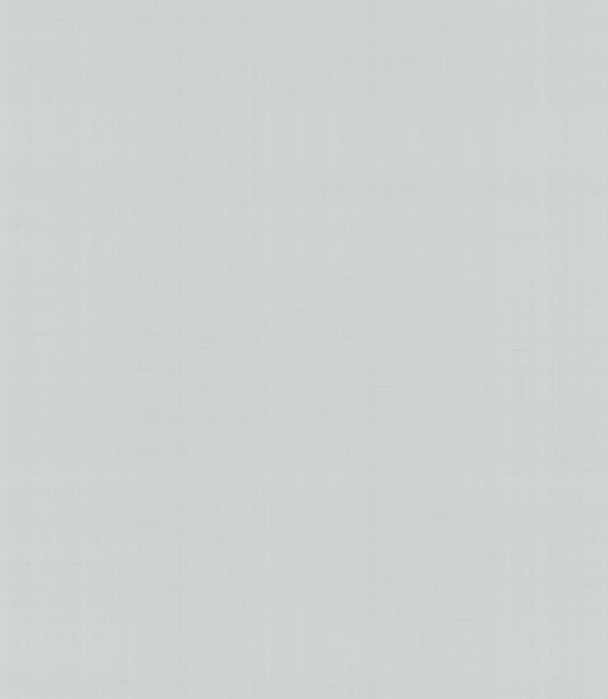 Armani Casa 4791 Precious Fibers 2 Plain Salomè-Iolanta-Nabucco-Lohengrin - tapeta jedwabna z jednolitym wzorem