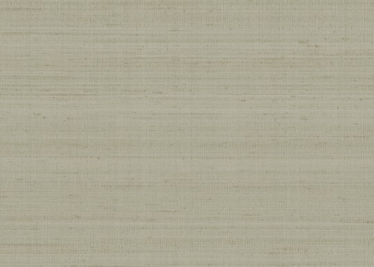 Armani Casa 9770 Precious Fibers 3 Seta - tapeta jedwabna jednolita