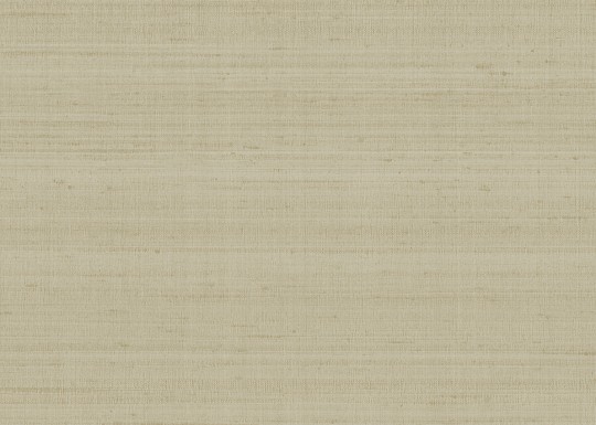 Armani Casa 9771 Precious Fibers 3 Seta - tapeta jedwabna jednolita