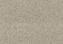 3c4837e9d7a598befc7f6d707e38f6a1