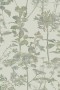 317c39038d393bb426961b3a62162c87