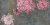 b67673f8e77bce74074096f16806861c