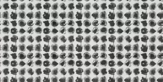 Tecnografica 80662-1B Collaborations Mauricio Lara Abstracto Black and White B - mural w kropki