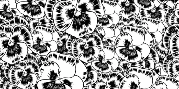 83688b5da11446e17f072f5a9f0b564c