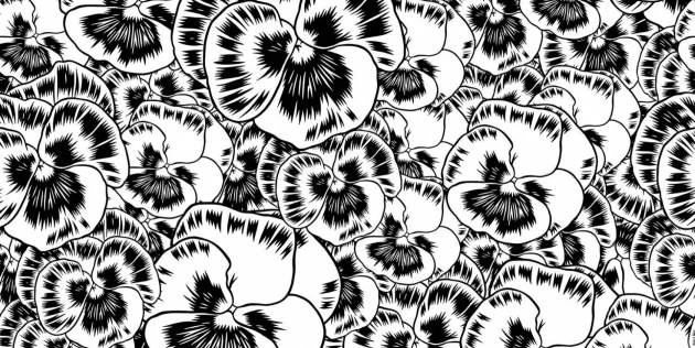 Tecnografica 75772-1 Collaborations Roberto Baldazzini Aurora Floreale Black and White - mural w graficzne kwiaty