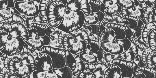 Tecnografica 75772-2 Collaborations Roberto Baldazzini Aurora Floreale Cracked Anthracite - mural w graficzne kwiaty