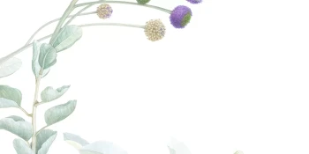cc3c108b89c356f1c96583571eb383b1