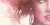 31ab9c224b3977c3cf982c7ad6d73cf5