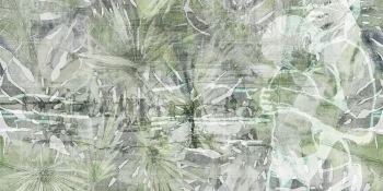 60889-2afitzcarraldogrey-green-decoweb-1594-1920x965.webp