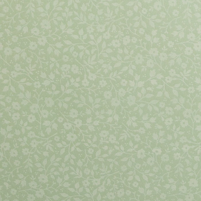 401a38f14df824dff752c60acf6f8df9