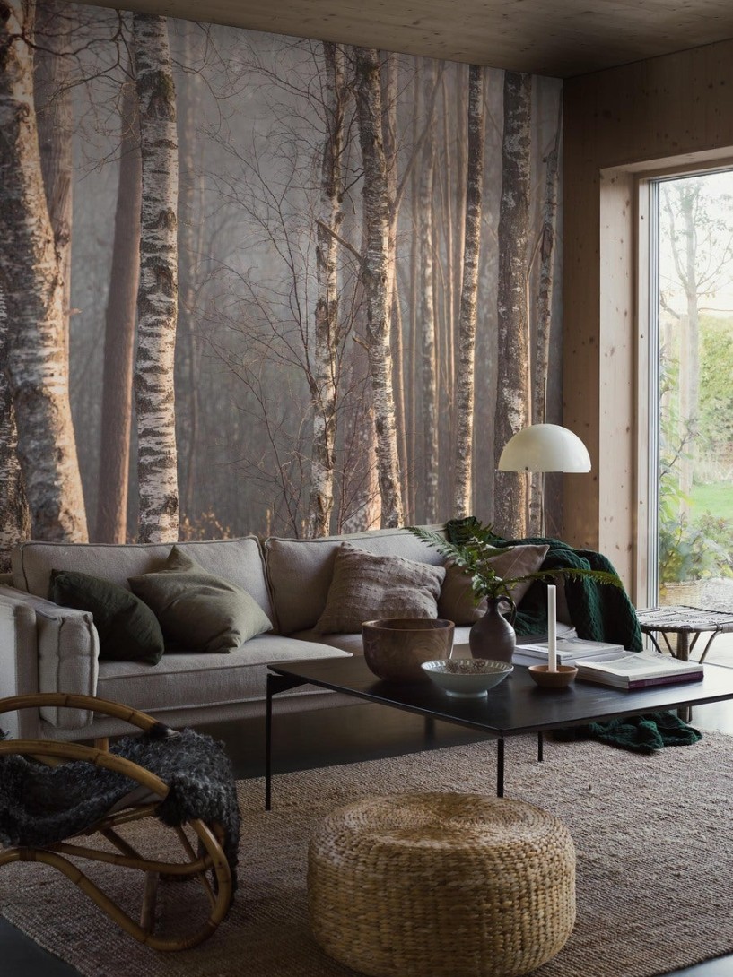 Boras Tapeter 9777W Marie Mattsson Björkdimma Grey - mural w brzozy