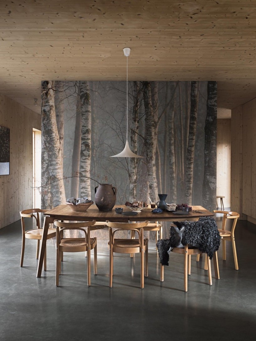 Boras Tapeter 9777W Marie Mattsson Björkdimma Grey - mural w brzozy