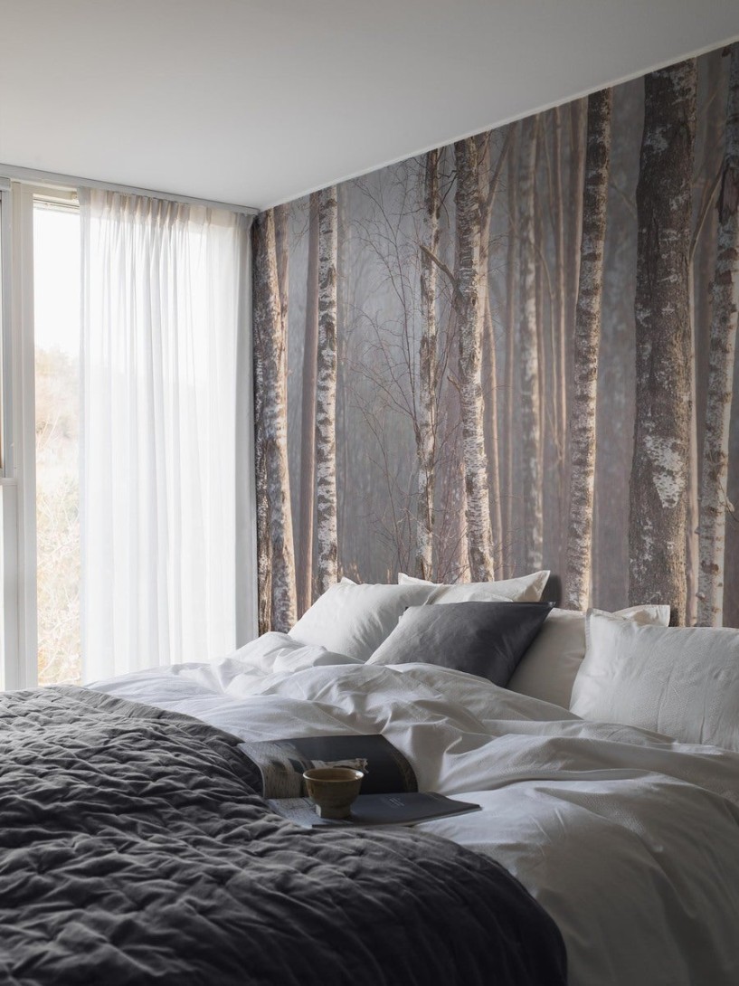 Boras Tapeter 9777W Marie Mattsson Björkdimma Grey - mural w brzozy