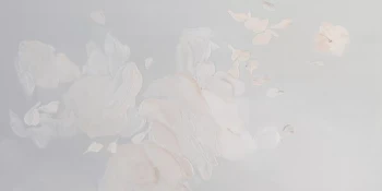 06719d949c304193c56b7875ab87a663