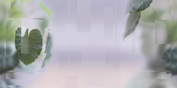 c7b7025eb76497ee6cc859cb6ca566d1