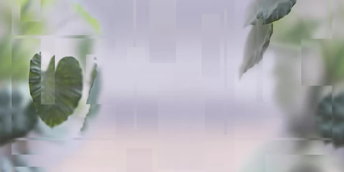c7b7025eb76497ee6cc859cb6ca566d1