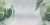 7f0eacec223c540ec1dd169727150c90
