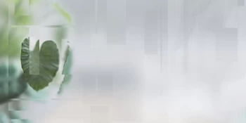 e6f55c5742aa1761cbe813ac1702e819