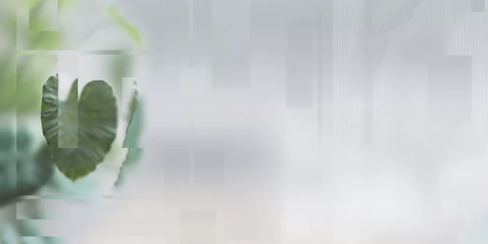 e6f55c5742aa1761cbe813ac1702e819