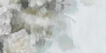1163cec84739b05b8ece1fdb909d7984