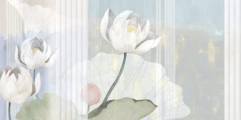 78ce5c05cd42d9efd0792e3b95003368