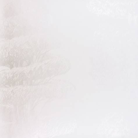 Tapeta Designers Guild Linnaeus P557/02 LINNAEUS - PLATINUM