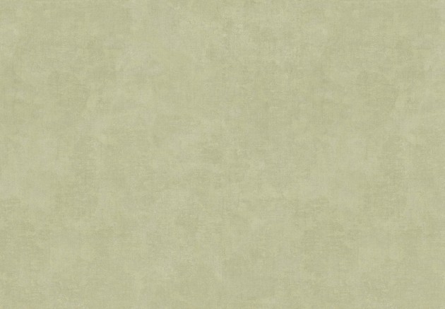 Cristiana Masi 32475 Vitalis Verve - tapeta przecierana tkanina