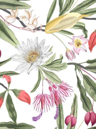 Graham & Brown 107600 Explorer - tapeta w egzotyczne kwiaty