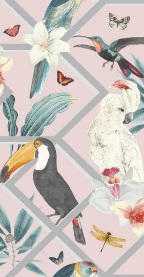Graham & Brown 107604 Explorer - tapeta w papugi i tukany na geometrycznym tle