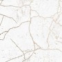1c046121824f30a01e3ab5bc921e14c7