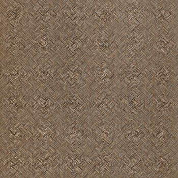 a755a374796a77e5517d270ec001f754
