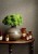 2f987051496f1e66d926c51cb646f650