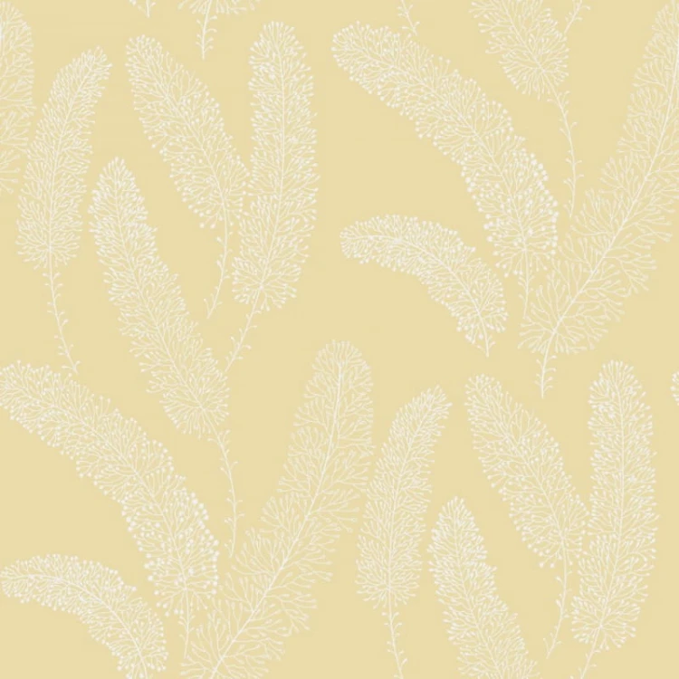 402b64f6cc1cac7b426a00f5535f277a