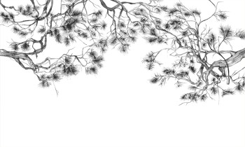 161deccb3cb3aab2e13dd8f560cb19ab