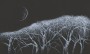 d7755088496c59632f48fdd53b75b17c