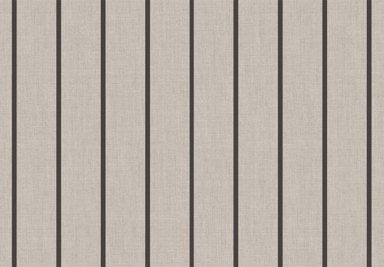 Cristiana Masi 38462 Top Stripes Riga 6 - tapeta w pionowe pasy
