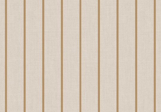 Cristiana Masi 38463 Top Stripes Riga 6 - tapeta w pionowe pasy