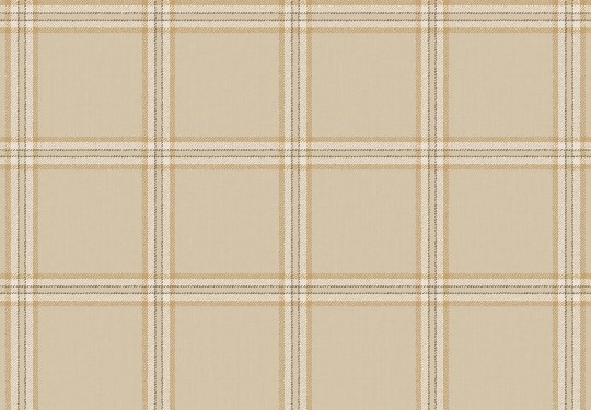 Cristiana Masi 38413 Top Stripes Tissue - tapeta w kratę